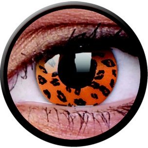 Yellow Leopard (Annuelles) (2 lentilles)