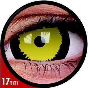 Mini-Sclera Tigera (Annuelles) (2 lentilles)