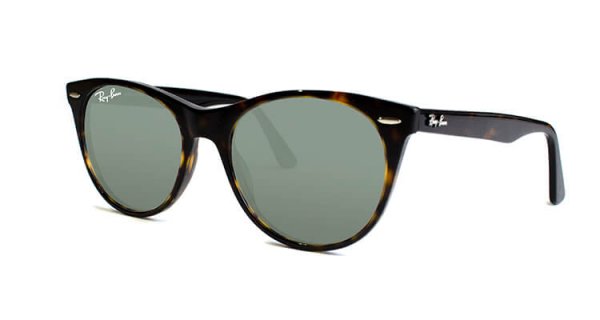 Wayfarer II RB2185 902/31