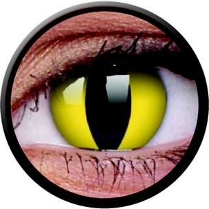 Cats Eye (Jahreslinse) (1x2)